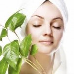 Organic Beauty Products